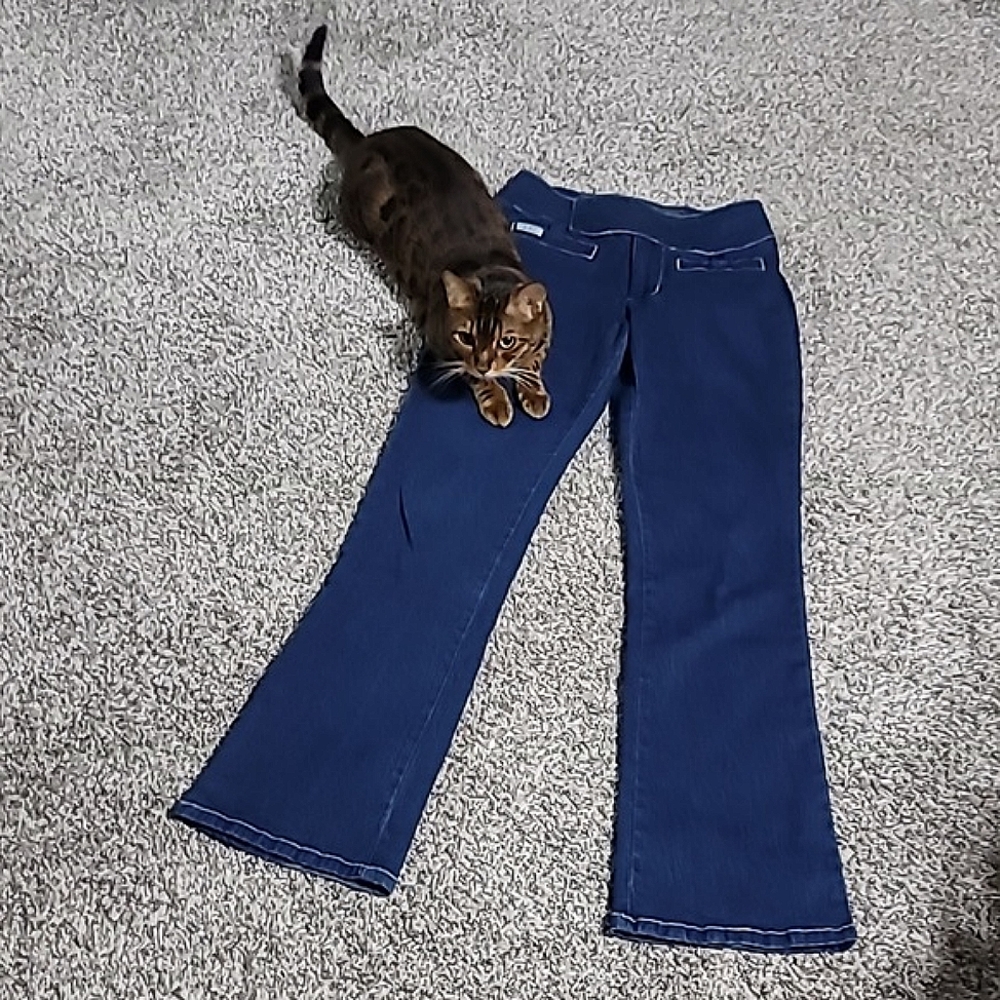 🅶 R.V.T. Serve Piping Hot Jeans Bootcut High Rise Dark Wash Stretch
